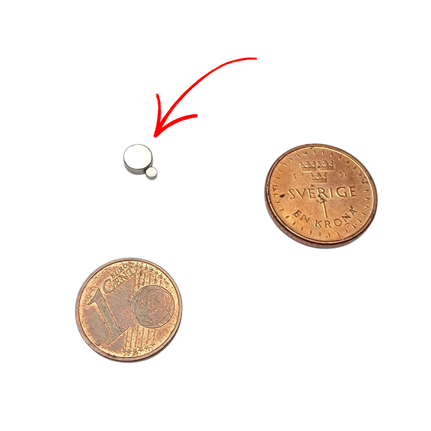 Magnete mit verschidenen Durchmessern als Ersatzteile zu den BewegtBauen Bausätzen.